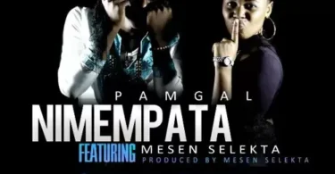 AUDIO Pam D Ft Mesen Selekta - Nimempata DOWNLOAD