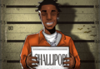 AUDIO Shallipopi – Ex Convict DOWNLOAD