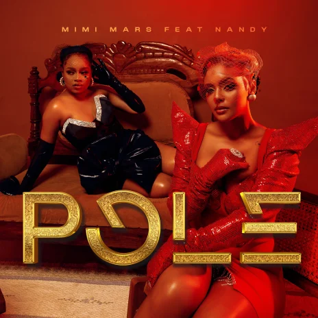 AUDIO Mimi Mars Ft Nandy – Pole DOWNLOAD