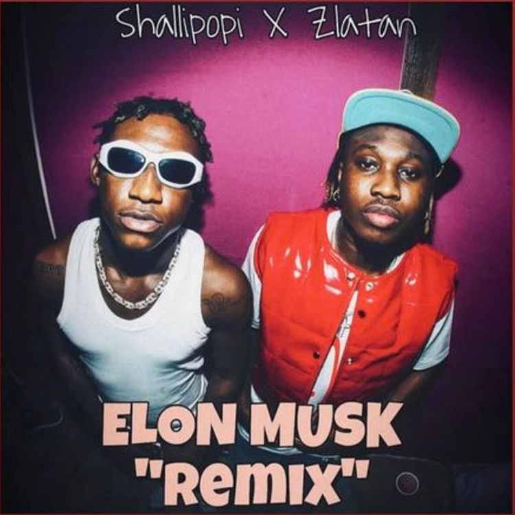 AUDIO Shallipopi Ft Zlatan – Elon Musk Remix DOWNLOAD