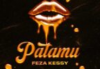 AUDIO Feza Kessy – Patamu DOWNLOAD