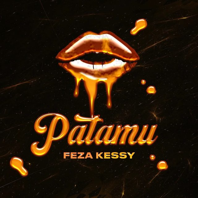 AUDIO Feza Kessy – Patamu DOWNLOAD