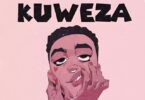 AUDIO Fizo Supersub – Kuweza DOWNLOAD