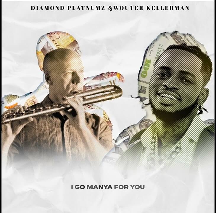 AUDIO Diamond Platnumz Ft Wouter Kellerman - Pounds & Dollars DOWNLOAD