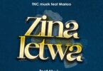 AUDIO TNC Ft Marioo – Zinaletwa DOWNLOAD