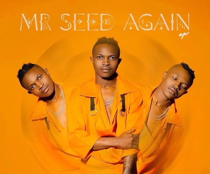 AUDIO Mr Seed – Single Again DOWNLOAD