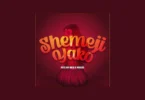 AUDIO Mzee Wa Bwax Ft Mbosso - Shemeji Yako DOWNLOAD