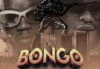 AUDIO Whozu Ft Marioo – Bongo DOWNLOAD