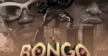 AUDIO Whozu Ft Marioo – Bongo DOWNLOAD