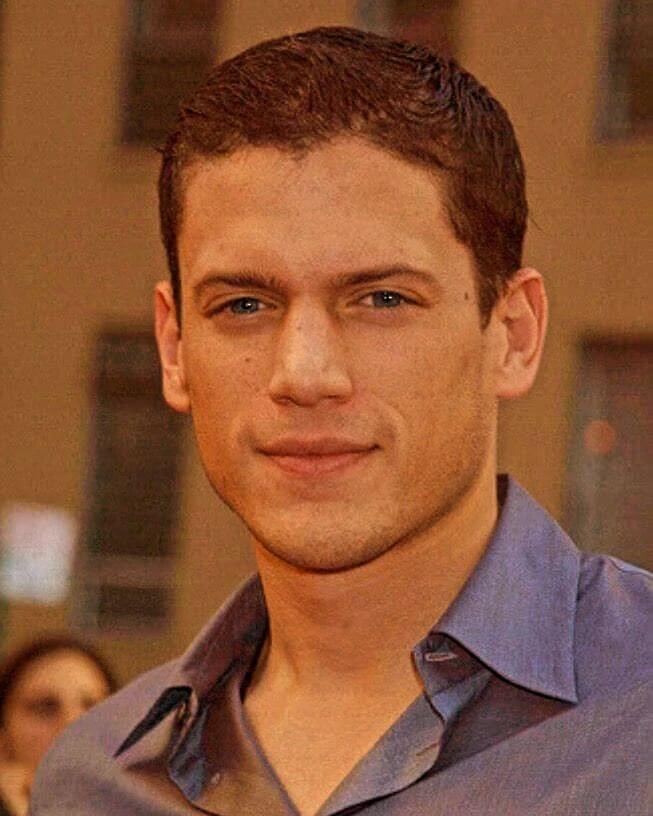 Wentworth Miller Net Worth: The Financial Escape of the Star from “Prison Break”