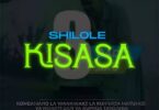 AUDIO Shilole – Kisasa DOWNLOAD