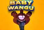 AUDIO Mzee Wa Bwax Ft Meja Kunta – Baby Wangu DOWNLOAD