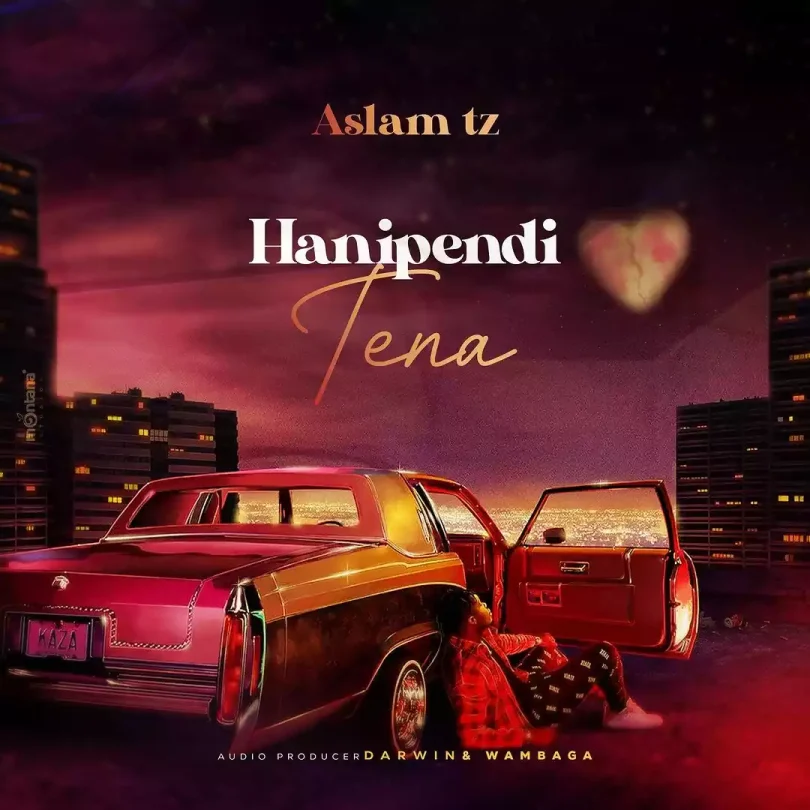 AUDIO Aslam Tz – Hanipendi Tena DOWNLOAD