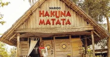 AUDIO Marioo – Hakuna Matata DOWNLOAD