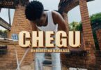 VIDEO Kontawa Ft Billnass – Chegu DOWNLOAD