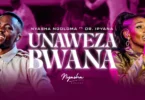 AUDIO Nyasha Ngoloma Ft Dr. Ipyana - Unaweza Bwana DOWNLOAD