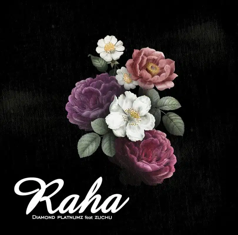 AUDIO Diamond Platnumz Ft Zuchu – Raha DOWNLOAD