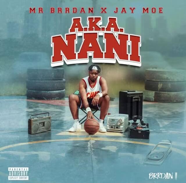 AUDIO Mr Brrdan Ft Jay Moe – A.k.A Nani DOWNLOAD